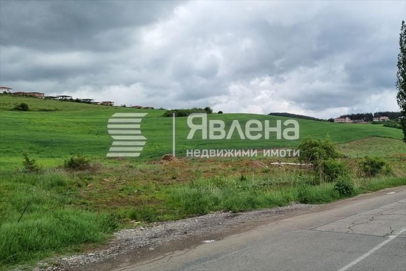 Панорама