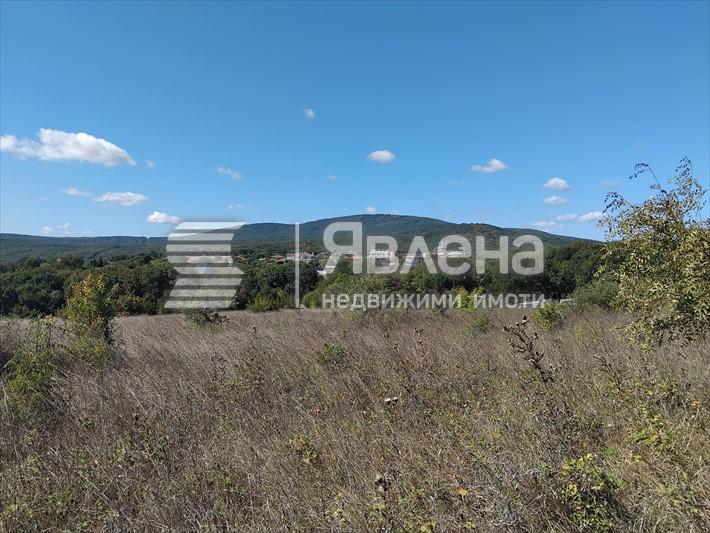 парцел