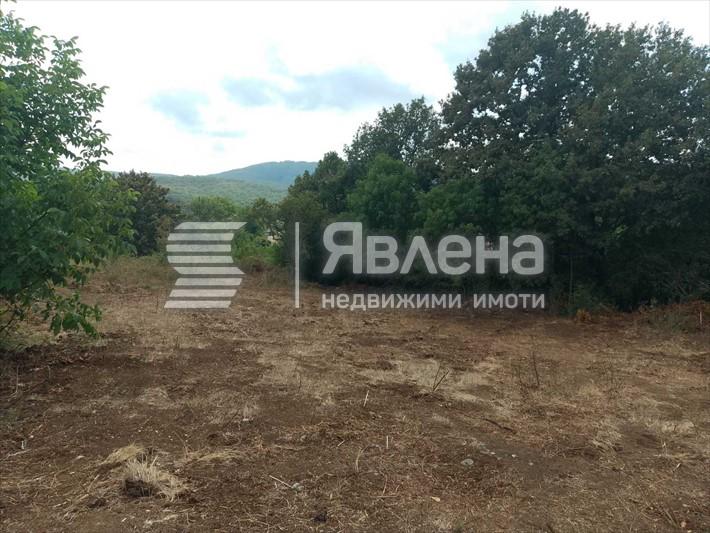 парцел