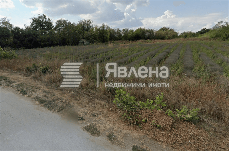 Парцел