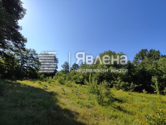 парцел