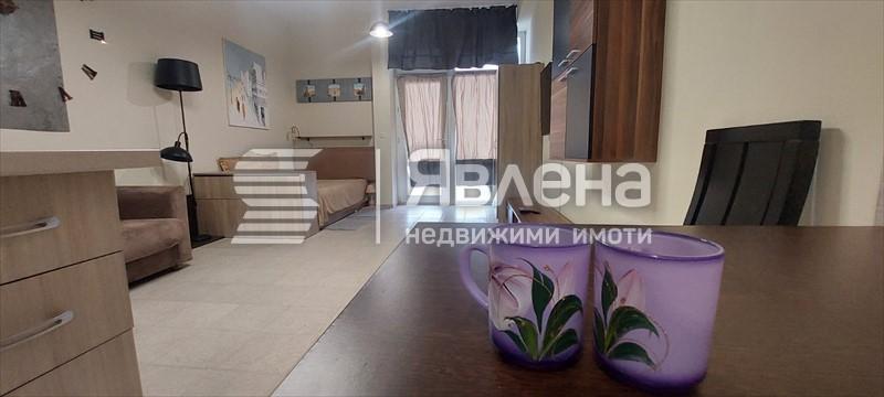 стая