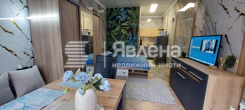 стая
