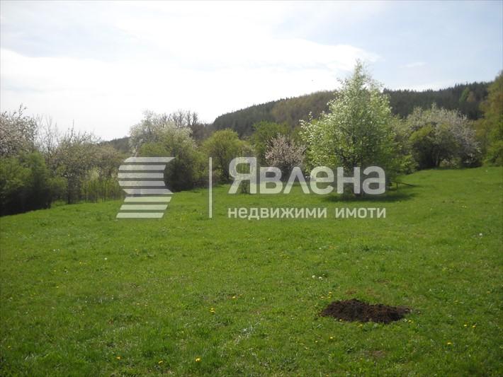 Панорама