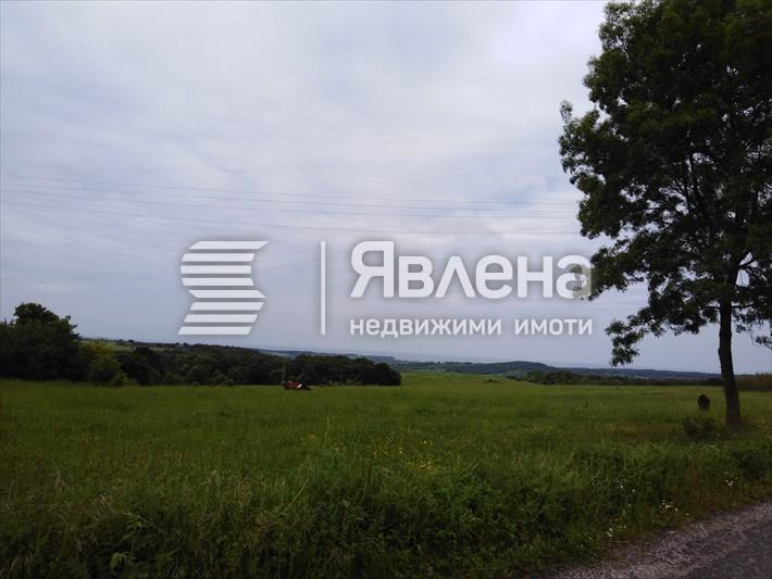 село Фазаново