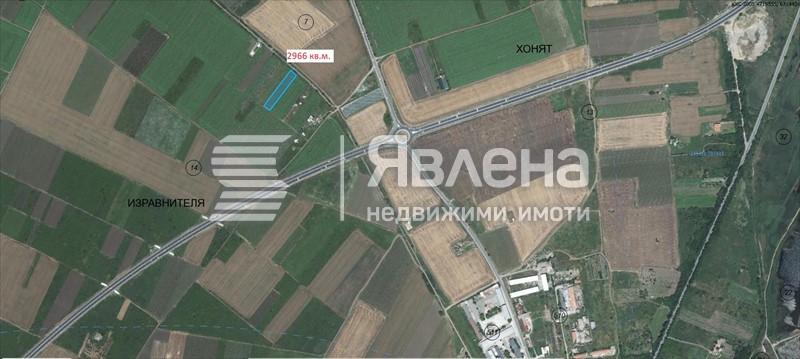 лозе Изравнителя