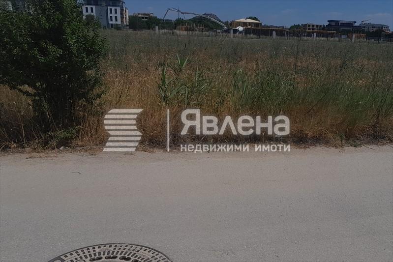 Пътя
