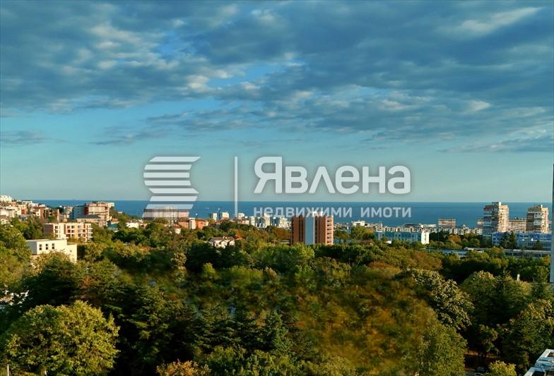 Панорама