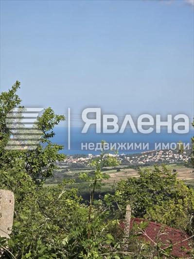ГЛЕДКА