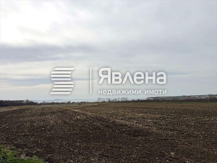 гледка