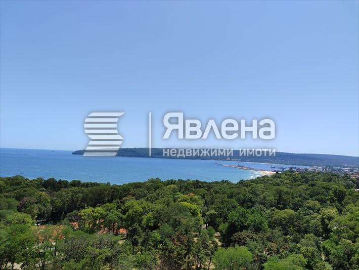 Панорама