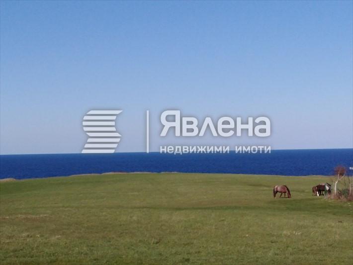 имот