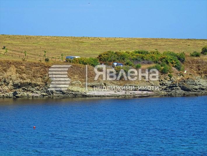 имот