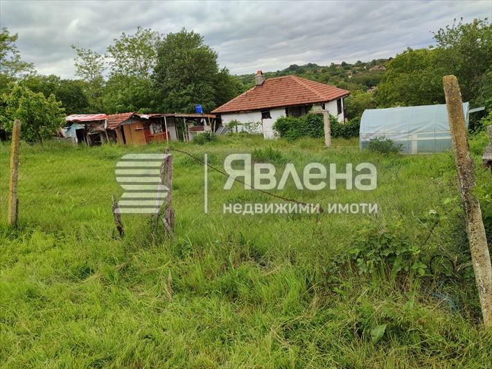 Ограда