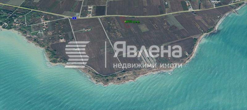 лахана