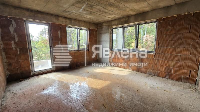 дневен тракт юг