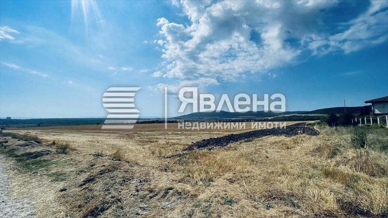 панорама
