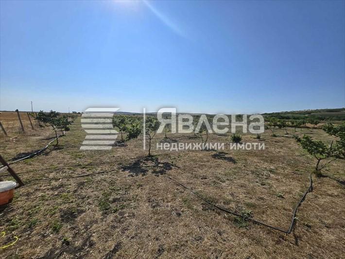 лешникова градина