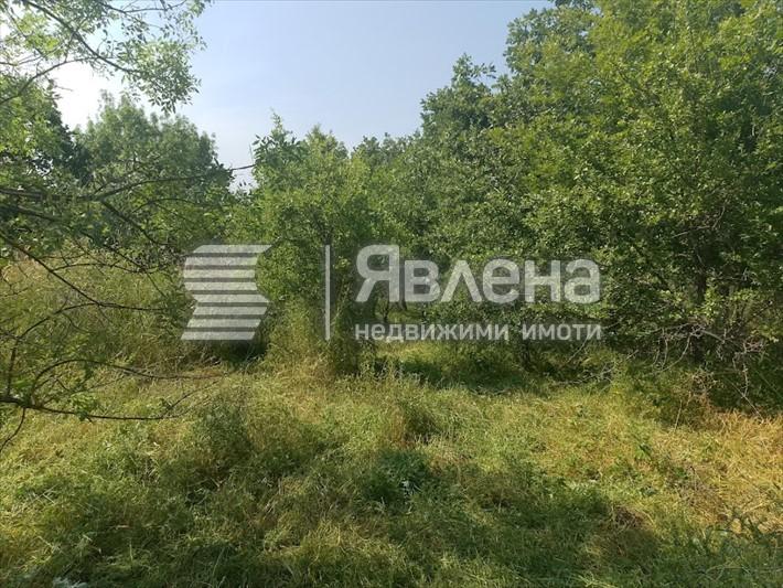 парцел
