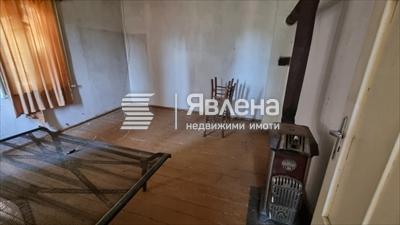 стая