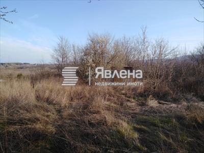 парцел