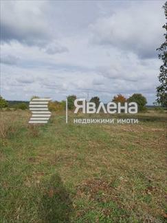 парцел