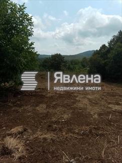 парцел