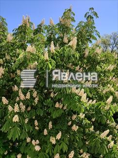 Гледка от терасата