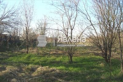 парцел