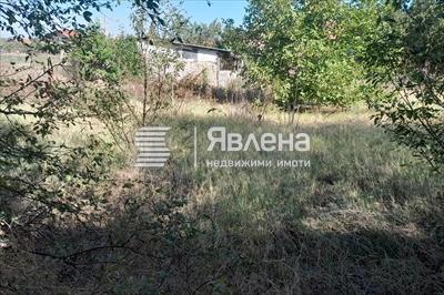 Терен