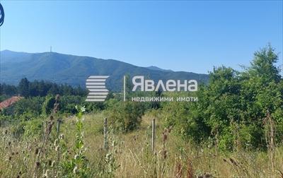 панорама