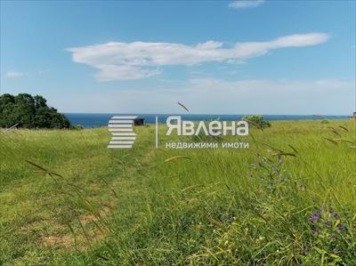 парцел