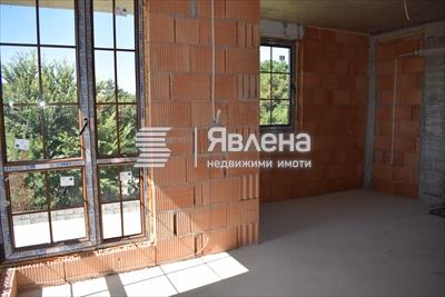 стая