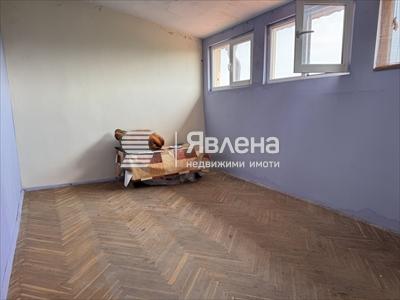стая