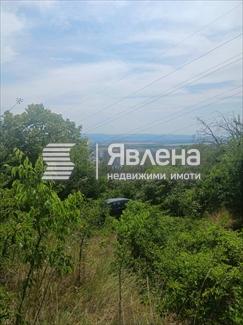 Панорама