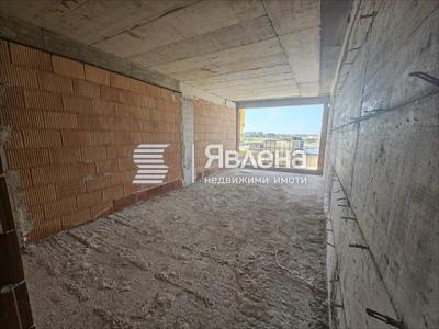 стая