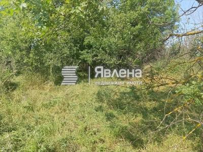 парцел