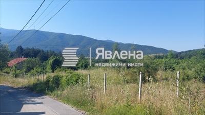 панорама