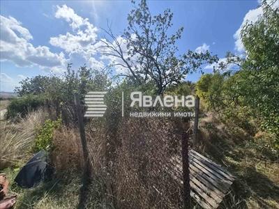 ограда