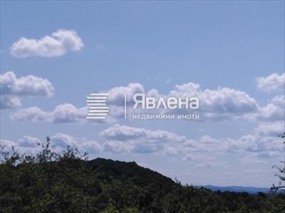 панорама