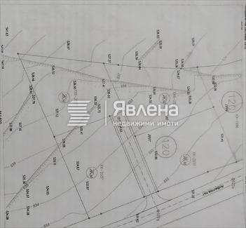 ПУП