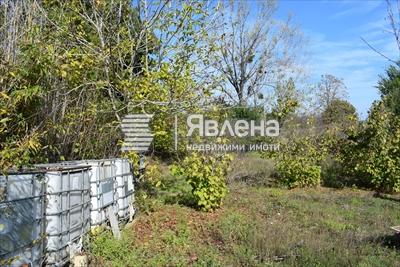 парцел