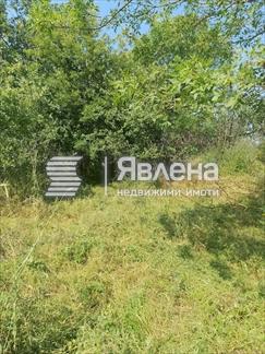 парцел