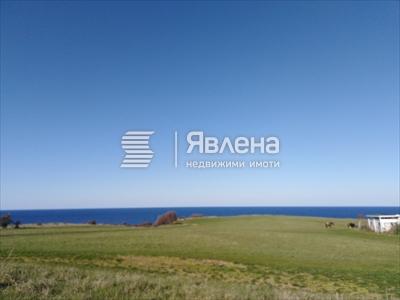 имот