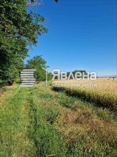 Хераково