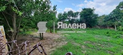 имот
