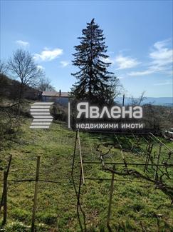 Двор