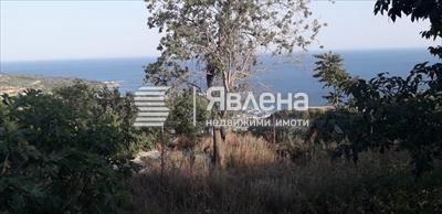 Панорама