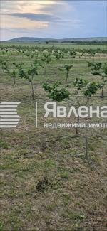 капково напояване