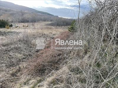 парцел